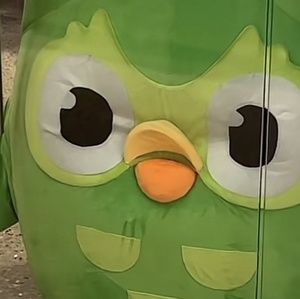 Meet your Posher, Isabelle